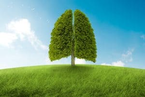 5-tibetan-rites-breathing-natural-full